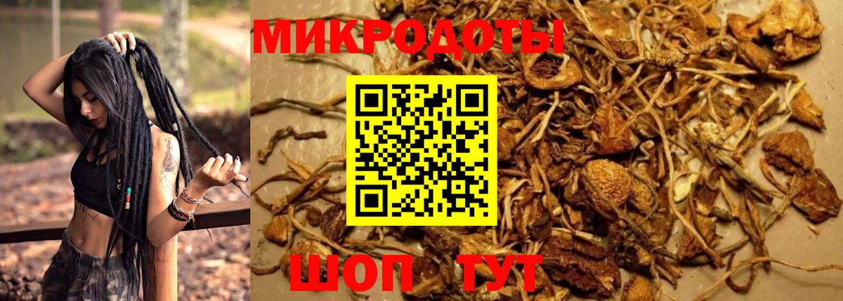 Волжск  Галлюциногенные грибы ЛСД  наркота  Вход с VPN  Галлюциногенные грибы прущие грибы 