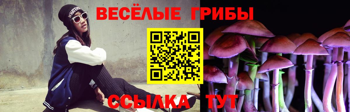 Галлюциногенные грибы Psilocybine cubensis Волжск